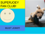 Superjoey fan club