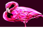 Hot Pink MLG Bros