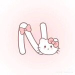 N ≽^• ˕ • ྀི≼