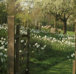 The.Meadow