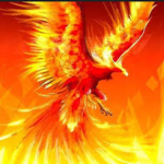 Flaming Phoenix Studio