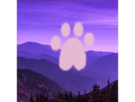 ~*Camp Mistypaws*~