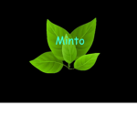 MintoWorks
