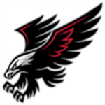 SKY RAIDER HAWKS