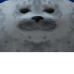 Seal squad (and others)