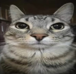 公子