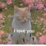 Ew you look ugly