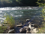 NATURE-X Studios.