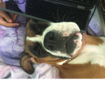 SLEEPY Time :/