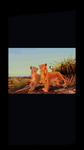 The lion king 2019 group