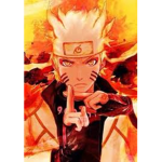 Shindo Lifе