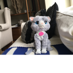 Catty World
