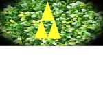 The Legend of Zelda fan group of the pro's!