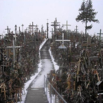 2006 01