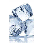 The ice cubesss
