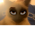 Donne des robux au person