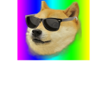 Group of Rainbow Doge