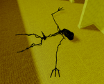 noirframe