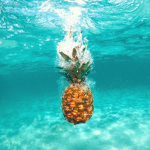 pineapple x clothing