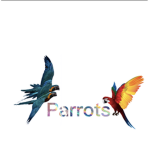 Parrоts