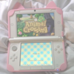 ʚ ameIyn ɞ