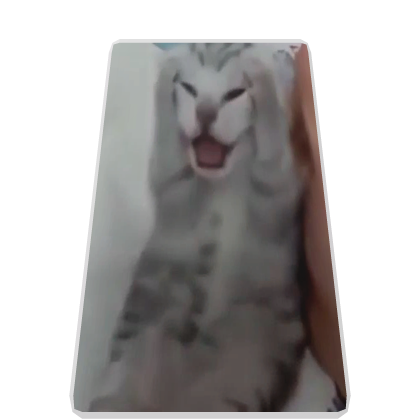 Screaming Cat Cape Roblox item
