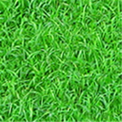 Sonic Adventure Texture - Emerald Coast Grass Roblox decal