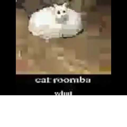 Cat Roomba