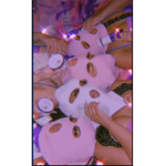 $PRADAA MAMI <3