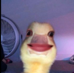 AyAsLaZy