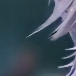♢
