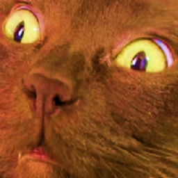 Snick's Marble Sanctuary icon