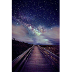 Dreamscape Narrative
