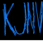 Kjnv Gaming