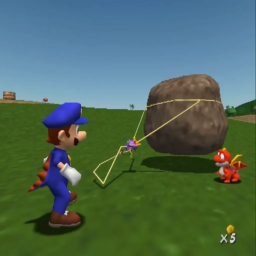 pet rock