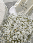 ~ Beautiful Bouquet ~