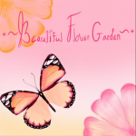 *~Beautiful Flower Garden~*