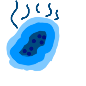 Run 2 (The Adminastrators)