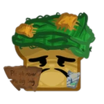 Homeless Toasty