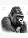 The Gorilla Gorilla Squad