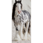 Berry horse academy
