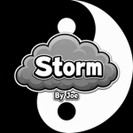 Project Storm Union