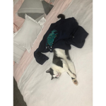 Cocoitolol