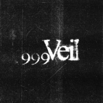 999Veil