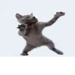 supa cool cat funne game!!!!!