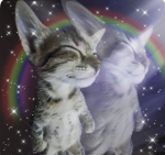 Grandmasfairydust