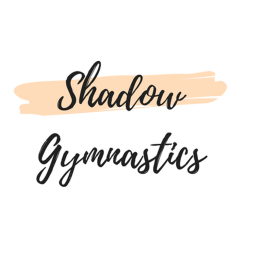 Shadow Gymnastics Interview Center
