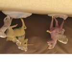 unicorn sunshine for life squad