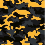 Jelly camo Studios