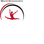 Moral Gymnastics Team